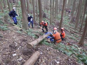 レスキュー訓練