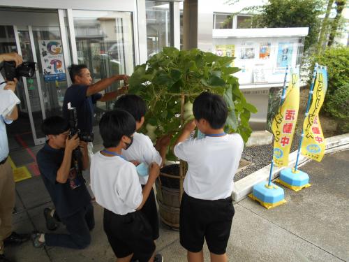 7月18日、ひょうたんに短冊の飾りつけの様子