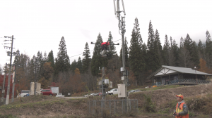 クマの追い払い