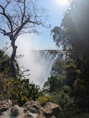 ヴィクトリアの滝（雨季）