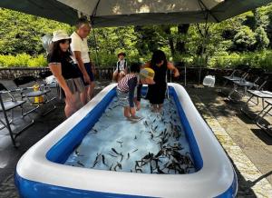 お魚タッチプール