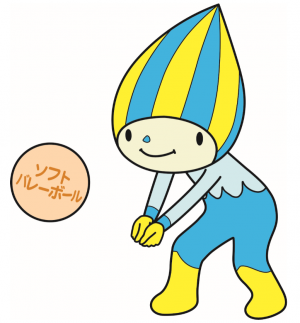 ソフトバレーボール