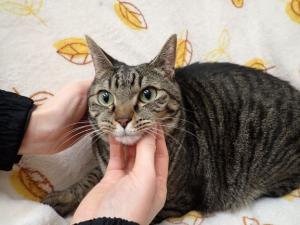 ふくまるの写真