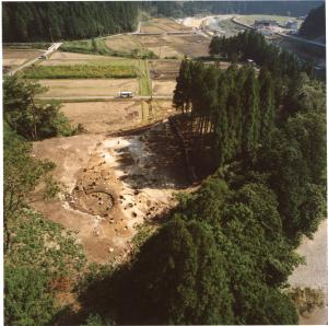 発掘区の全景写真です