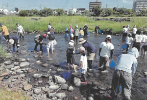 河川調査写真