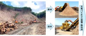「木の国・山の国」の産業振興、新たなクリーンエネルギーの創出