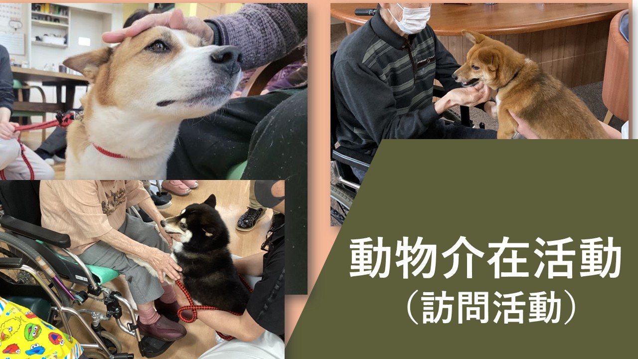 動物介在活動