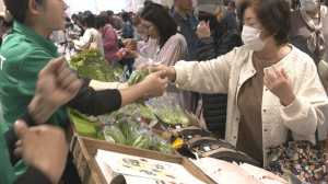 県庁マルシェの様子