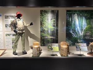 高山展示写真1