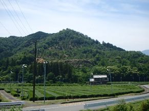指導2
