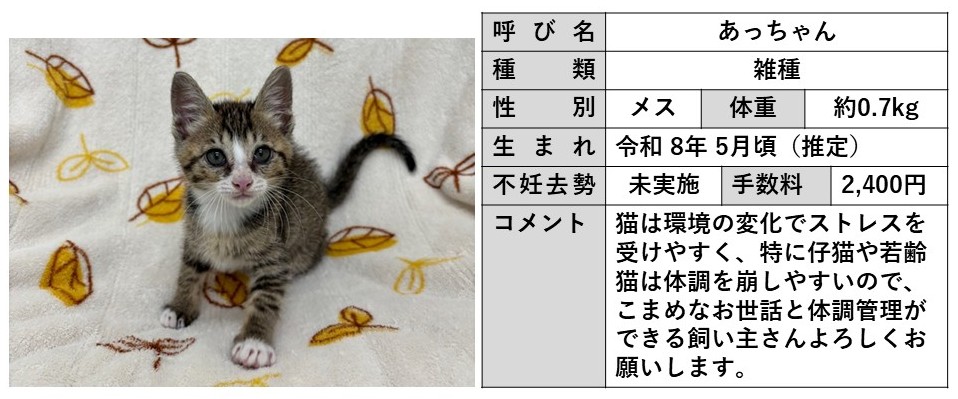 応募期限：7月2日（木曜日）15時00分