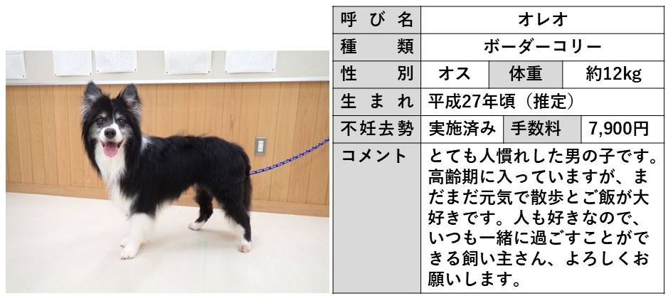 オレオ
