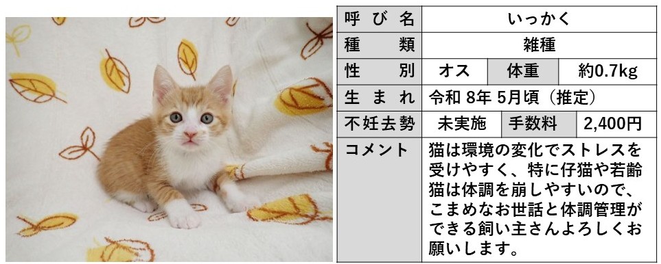 いっかく