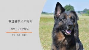岐阜ブロック(2)