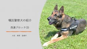 西濃ブロック(3)