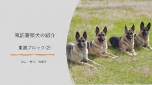 東濃ブロック(2)