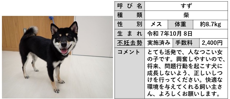 すず