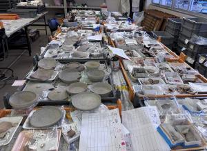 須恵器を接合した様子の写真です