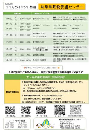 11月の予定