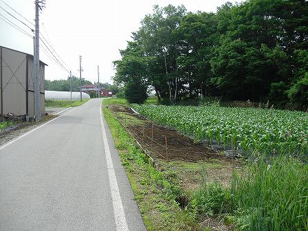 開拓地B地点遺跡