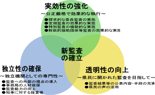 新監査確立のイメージ図