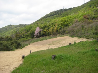 平成28年度洞第2古墳群発掘区を南東から撮影の画像