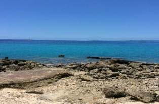 トンガの海岸と海