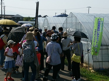 平成28年5月21日第19回羽島体験プロジェクト（いちご狩り）【羽島市】の画像