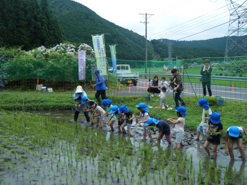 田んぼの学校（揖斐）