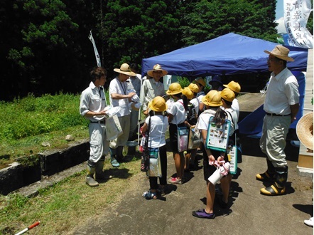 平成28年7月27日田んぼの学校【郡上市明宝】の画像