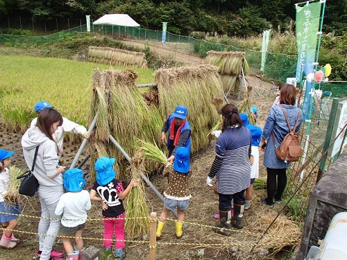 H28年10月11日田んぼの学校