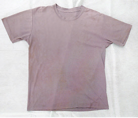 Tシャツの写真