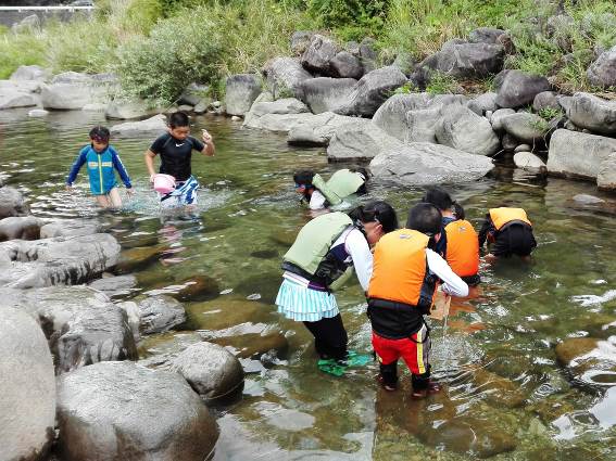 生き物観察