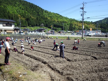 種植えイベント