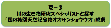 夏コースの画像2