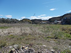 調査前発掘区全景（西から）の画像2