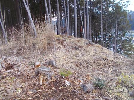 中切上野1号古墳の発掘調査前風景（西から）