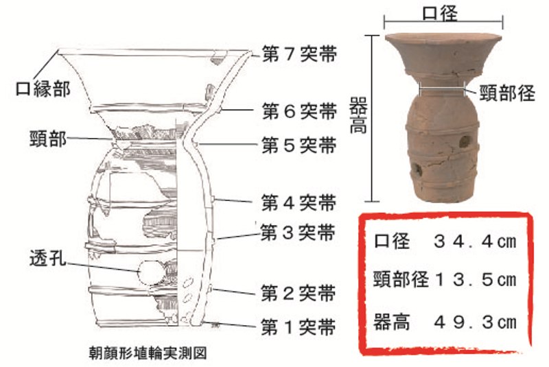 後平茶臼古墳出土朝顔形埴輪及び遺物実測図