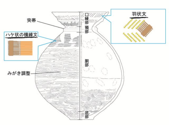 荒尾南遺跡出土の柳ケ坪型壺遺物実測図