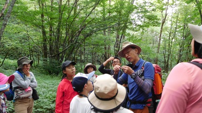 森林散策（高山市）