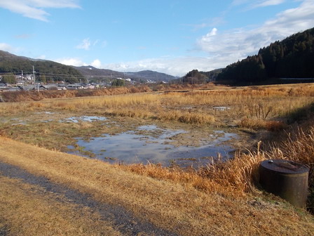 公文垣内南遺跡の調査前発掘区全景