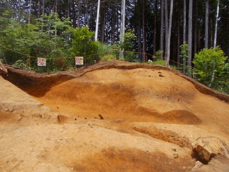 中切上野1号古墳の完掘状況