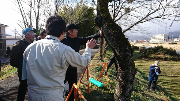 樹木医からの見解説明