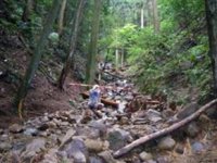 古屋洞荒廃状況