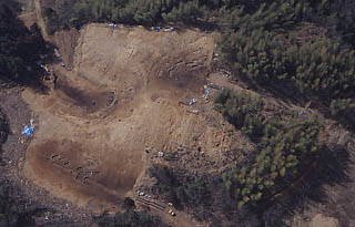 遺跡遠景