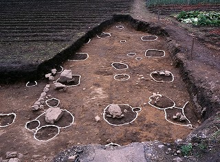 礎石建物跡