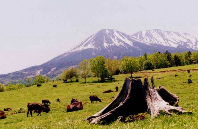 御嶽山をのぞむ風景