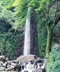 養老の滝