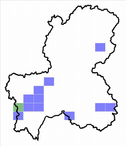 分布情報図を拡大表示します 分布情報図を拡大表示します