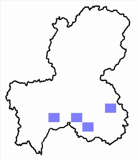 分布情報図を拡大表示します